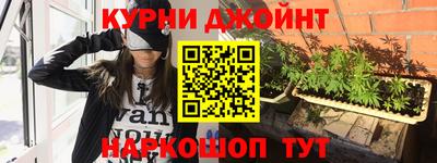 Альфа ПВП Малгобек