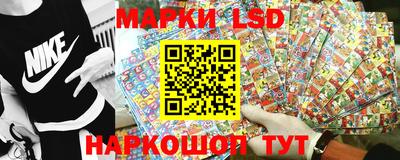 Альфа ПВП Малгобек