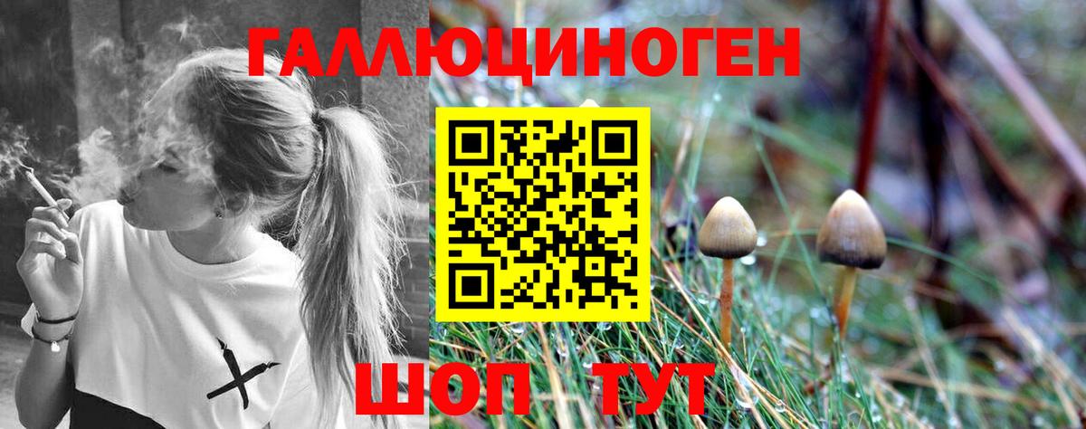 Псилоцибиновые грибы Cubensis  Псилоцибиновые грибы Magic Shrooms  Вход с VPN  Бирск 